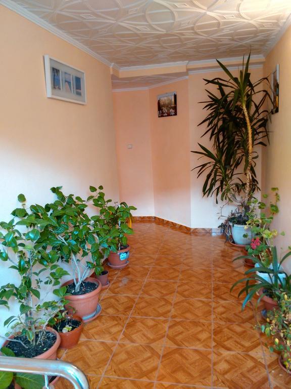 Vila Marcela Buşteni Habitación foto