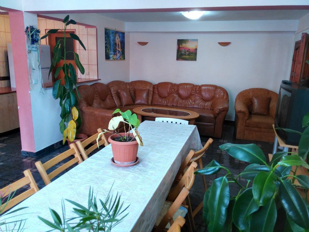 Vila Marcela Buşteni Habitación foto