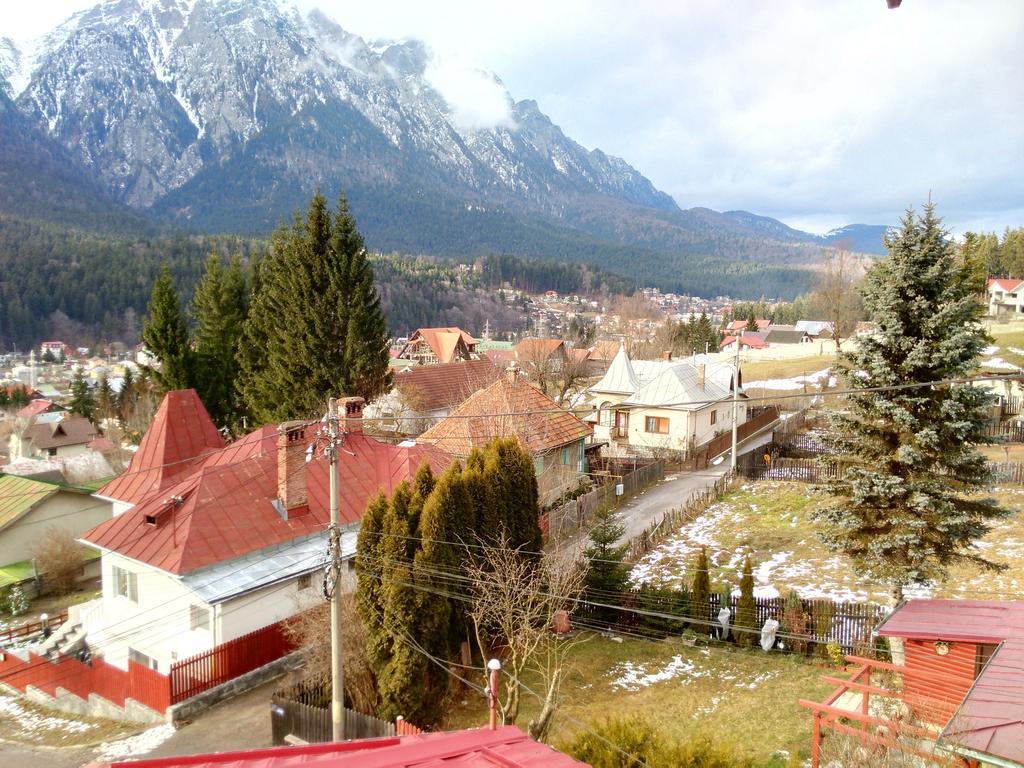 Vila Marcela Buşteni Habitación foto