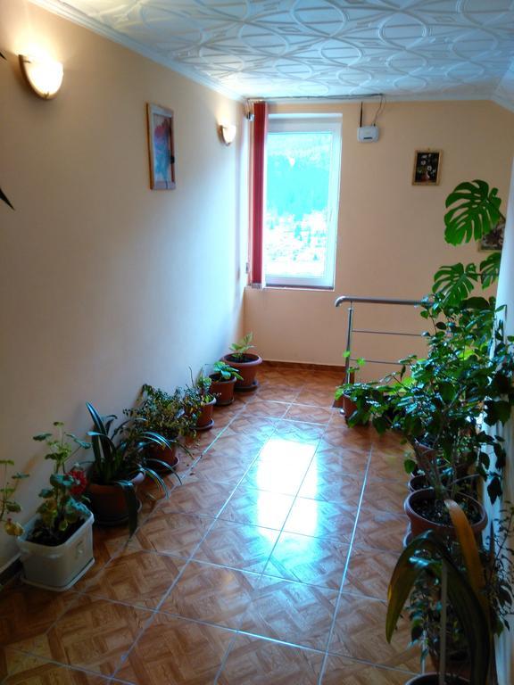 Vila Marcela Buşteni Habitación foto