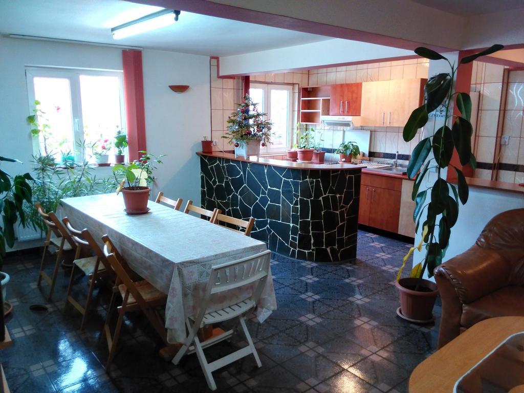 Vila Marcela Buşteni Habitación foto